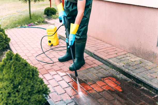 Best Roof Pressure Washing  in Waynesville, NC