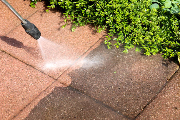 Best Exterior Home Cleaning  in Waynesville, NC