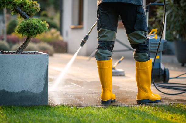 Best Local Pressure Washing Services  in Waynesville, NC